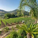 Bed and breakfast La Di Segesta