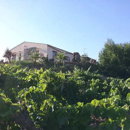 Bed & Breakfast La Di Segesta 3*