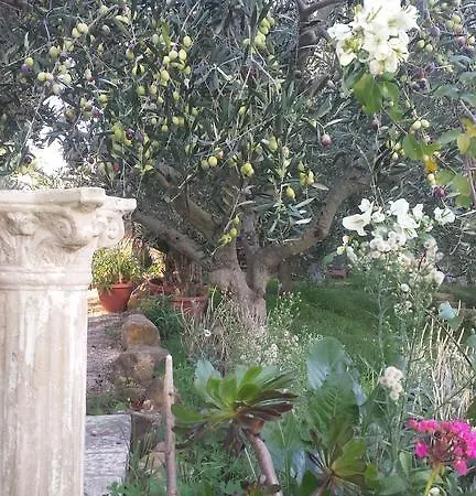Bed & Breakfast La Di Segesta 4*