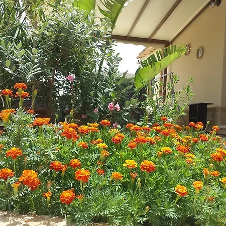 La Di Segesta Calatafimi