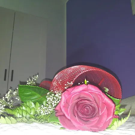 Bed & Breakfast La Di Segesta