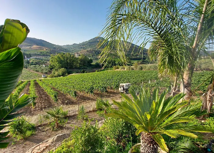 Bed & Breakfast La Di Segesta