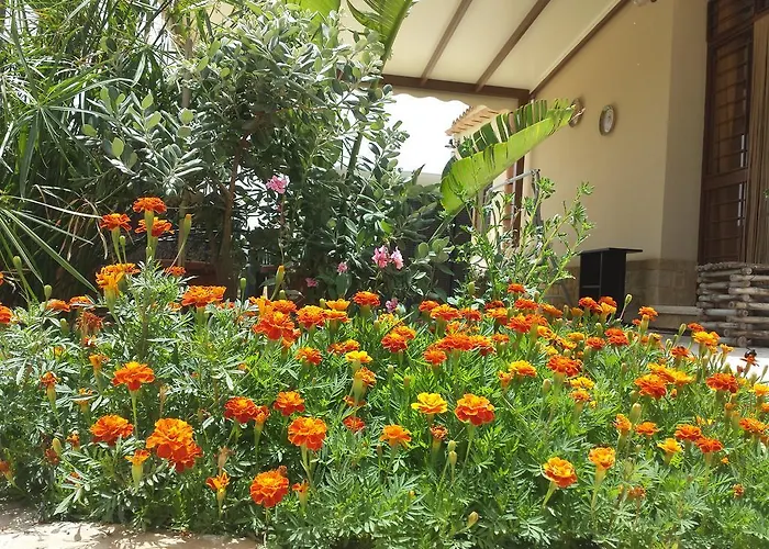 La Di Segesta Calatafimi